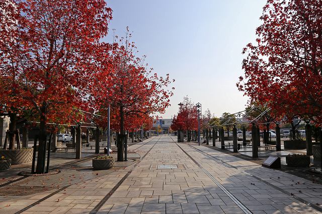 a0242438_1603954.jpg