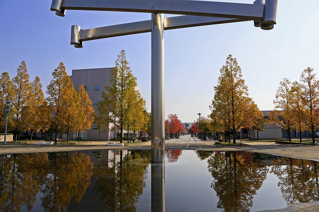 a0242438_1612010.jpg