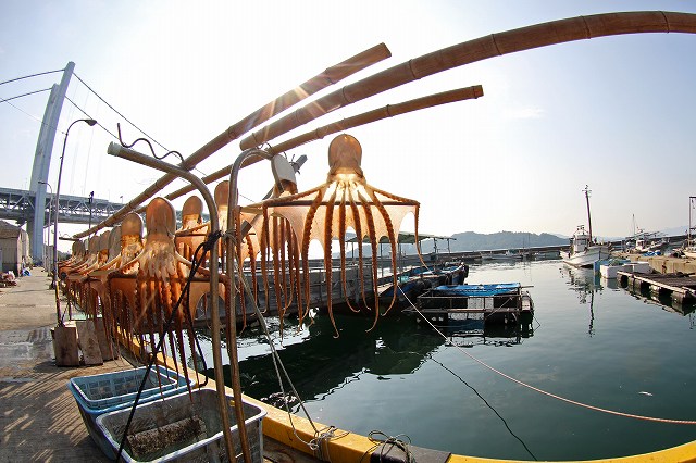 a0242438_1613029.jpg