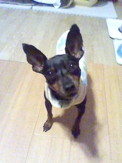 e0150843_2216549.jpg