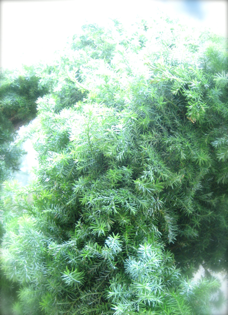 b0209944_2240068.jpg