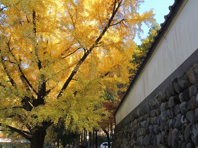 b0122448_18202855.jpg