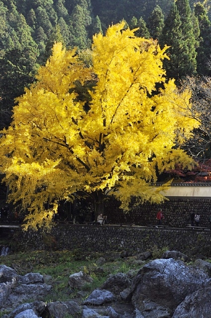 b0122448_18225937.jpg