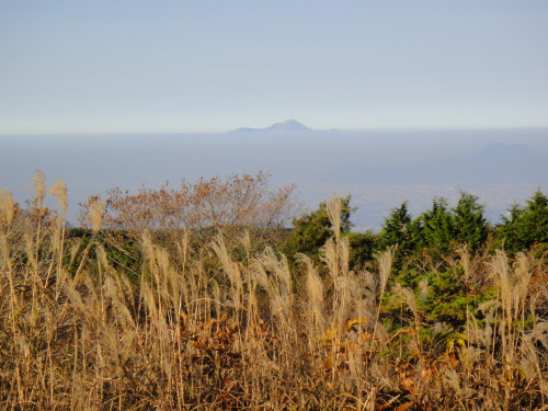 c0179351_1933176.jpg