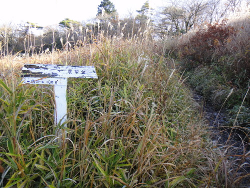 c0179351_19351460.jpg