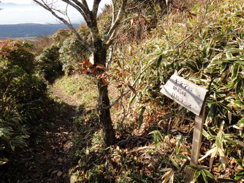 c0179351_19511599.jpg