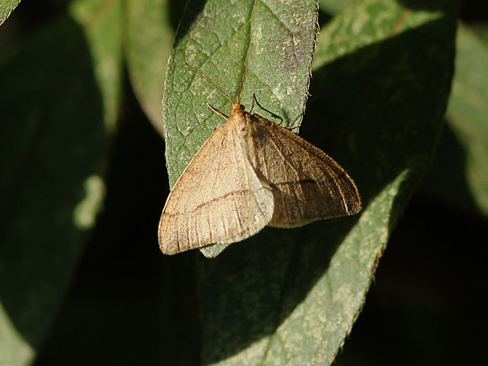 d0146854_213305.jpg