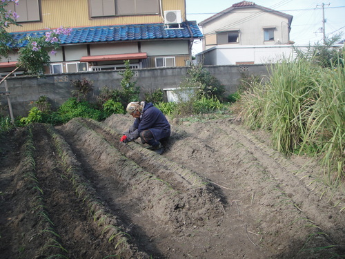 c0108460_18152091.jpg