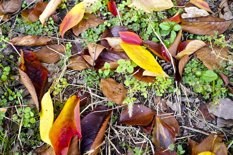 f0134963_1042424.jpg