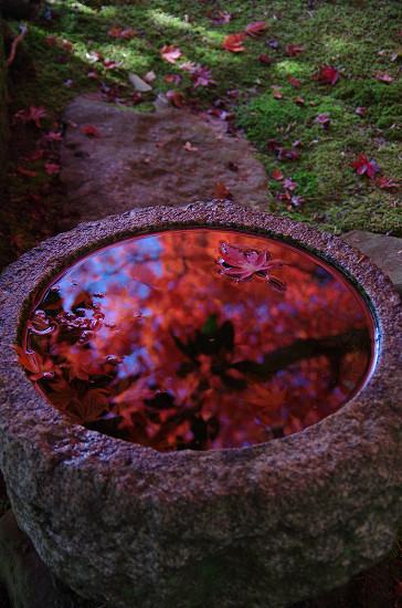 f0303870_2140670.jpg