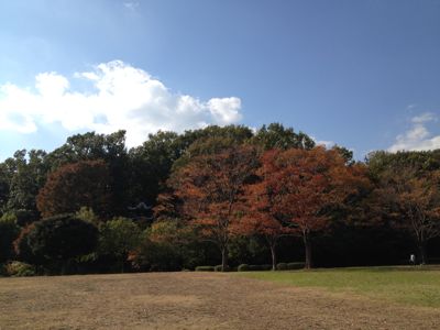 e0217871_20121267.jpg