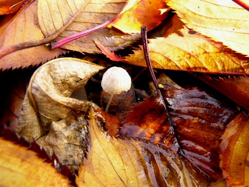 d0084473_20105921.jpg