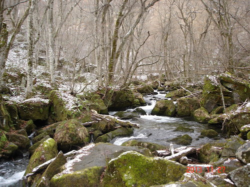 d0165378_9395830.jpg
