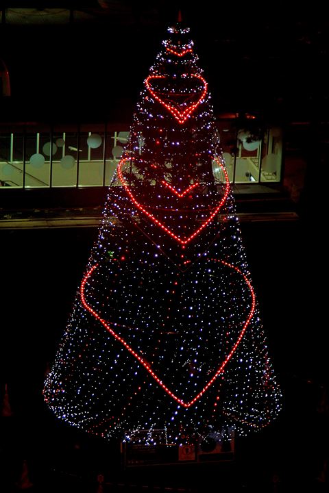 e0326479_17503818.jpg