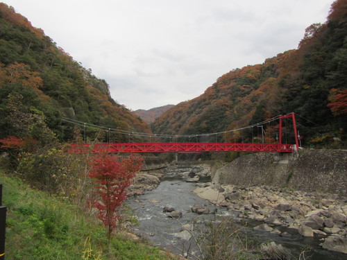 a0251786_18362480.jpg