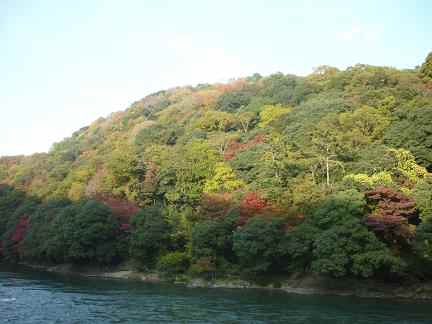 f0194690_1445255.jpg