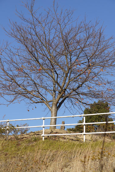 f0222692_18513688.jpg