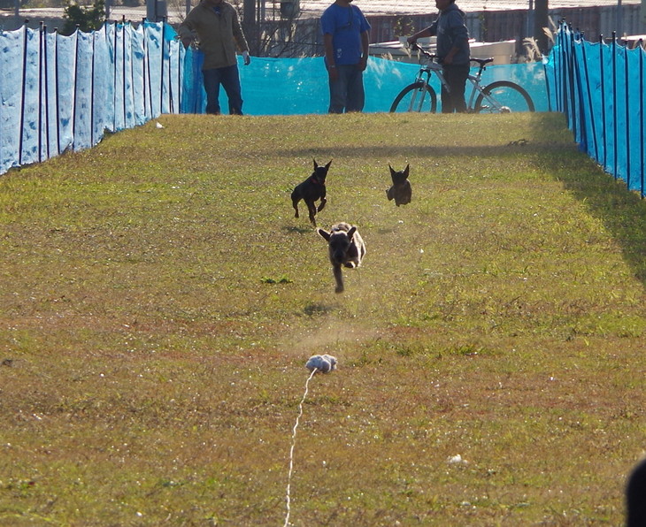 d0098295_2311537.jpg