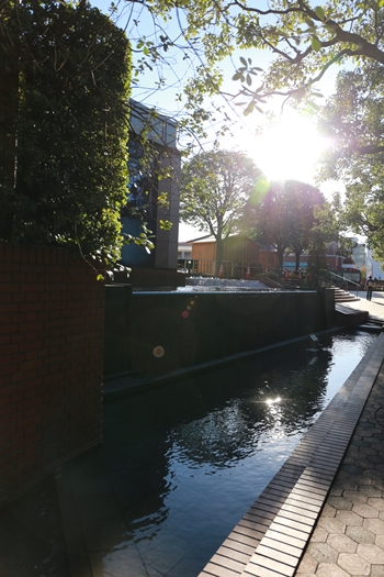 e0059896_224493.jpg