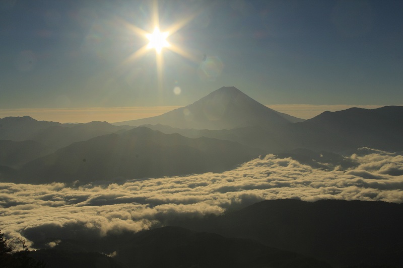 a0188405_11145772.jpg