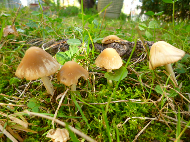 f0315911_2211456.jpg