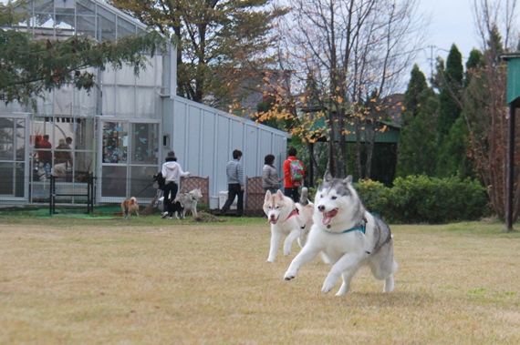 b0207615_23105944.jpg
