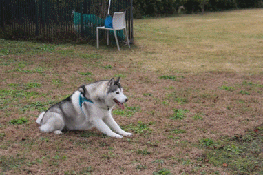 b0207615_23122022.gif