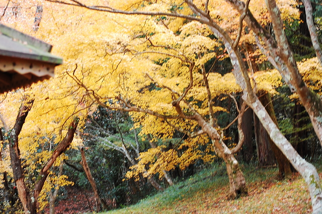 f0248120_20443178.jpg