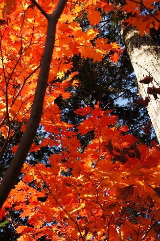 c0235725_91850.jpg