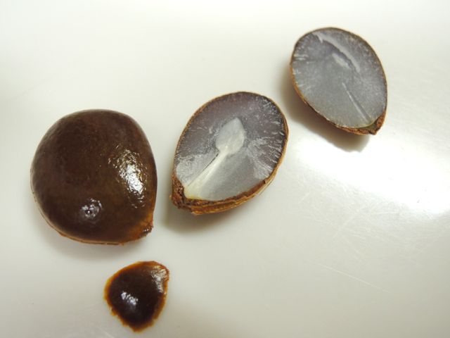 f0229926_8342391.jpg