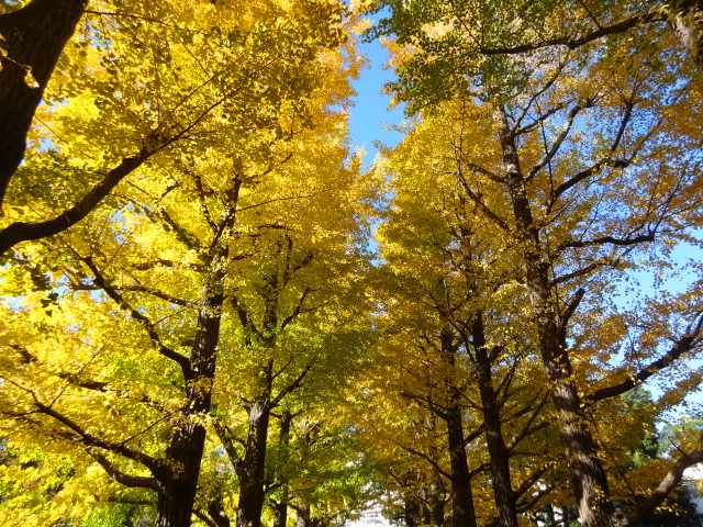 e0016828_1118999.jpg