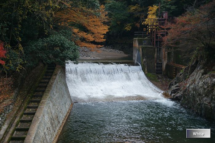 c0227134_21395576.jpg