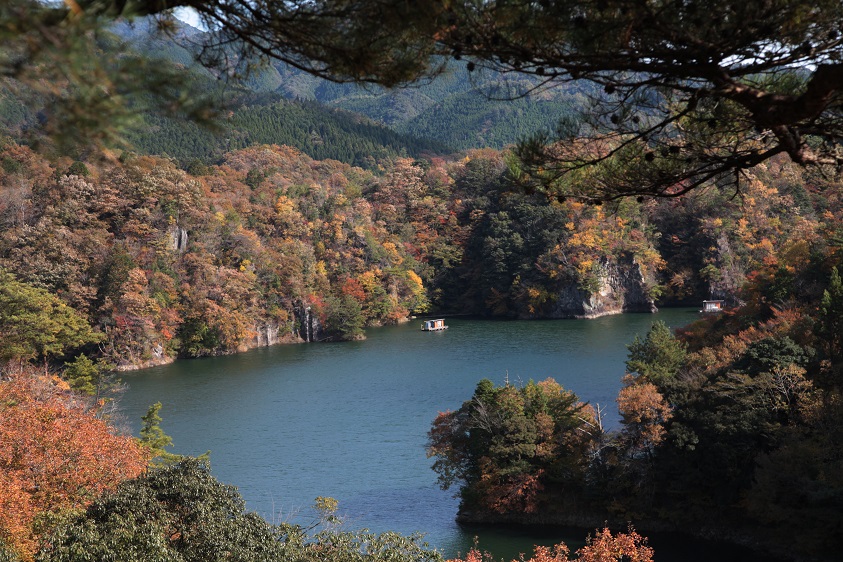 b0184636_20323334.jpg