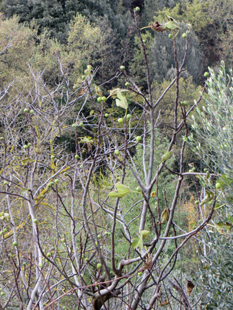 f0234936_77114.jpg