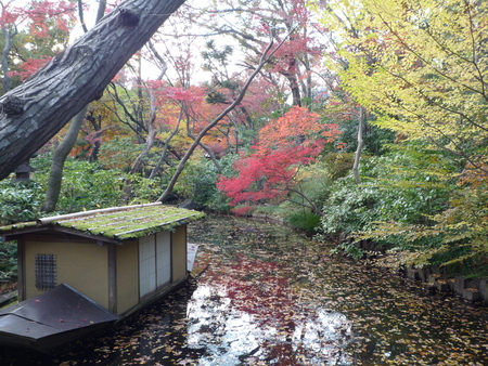 f0214837_1502040.jpg