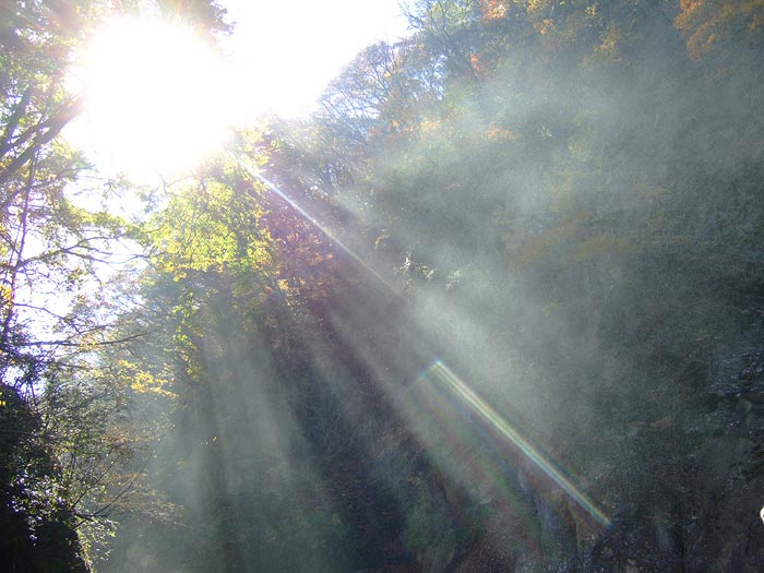 e0006242_1554776.jpg