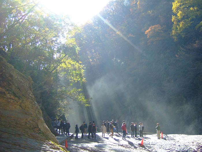 e0006242_155502.jpg
