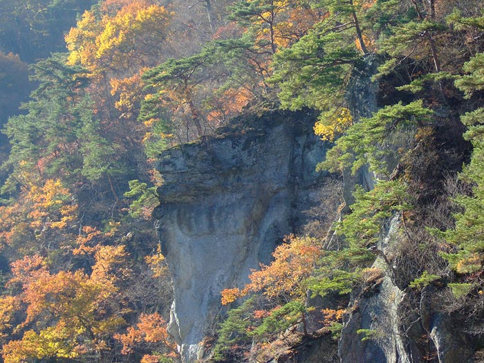 e0006242_1563080.jpg