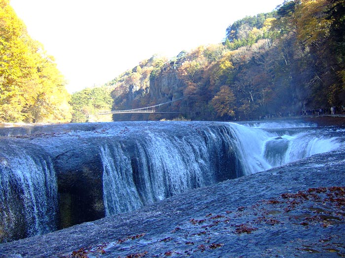 e0006242_1563632.jpg