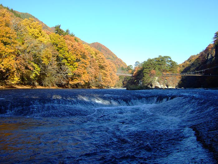 e0006242_1564073.jpg