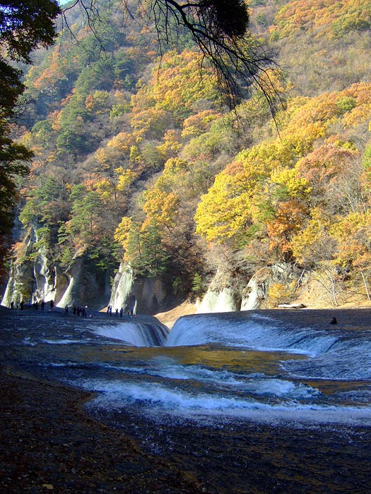 e0006242_156425.jpg