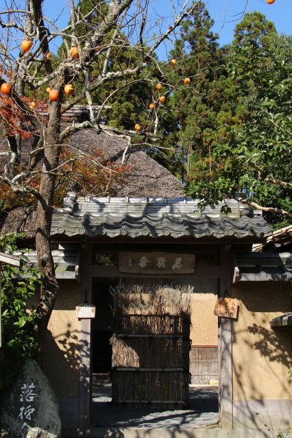 e0039744_1735516.jpg