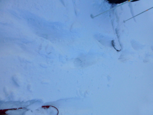 c0081645_23465377.jpg