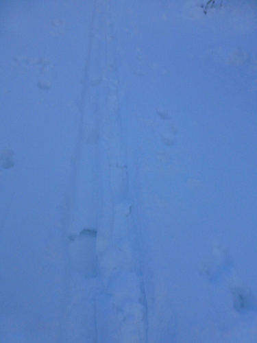 c0081645_23472462.jpg