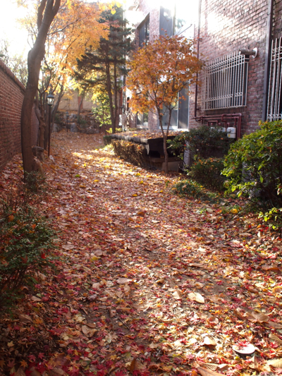 f0035251_2237669.jpg