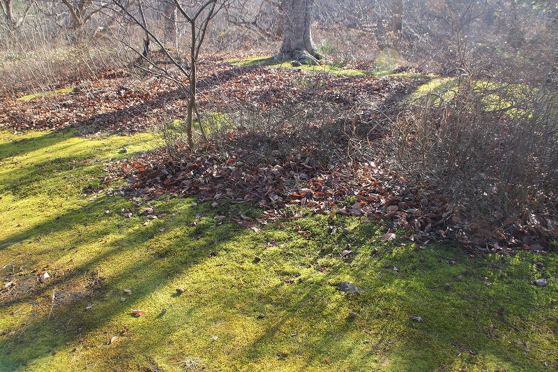 b0250154_23105426.jpg