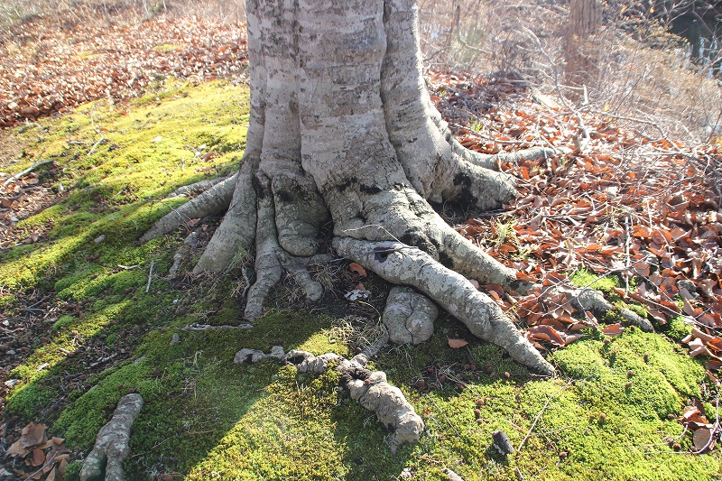 b0250154_231256100.jpg