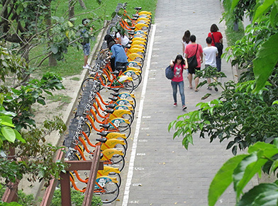 c0167961_17285411.jpg