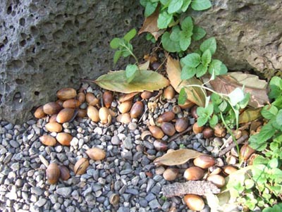 c0011862_21381445.jpg