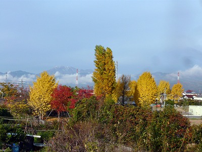f0106664_837574.jpg
